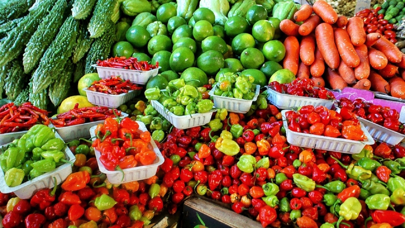 primeur-TOURNEFORT-min_farmers-market-1329008